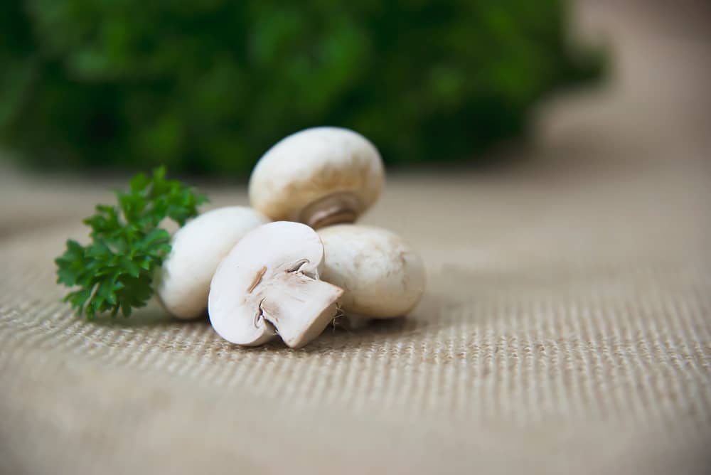 قارچ دکمه‌ای تازه درجه یک